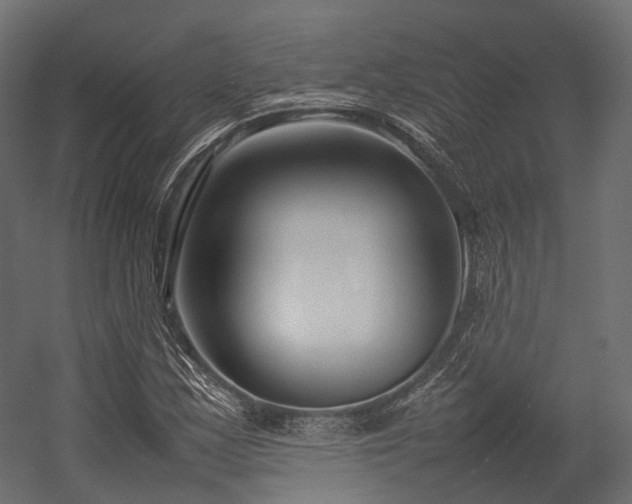 X0000054391163200507291136