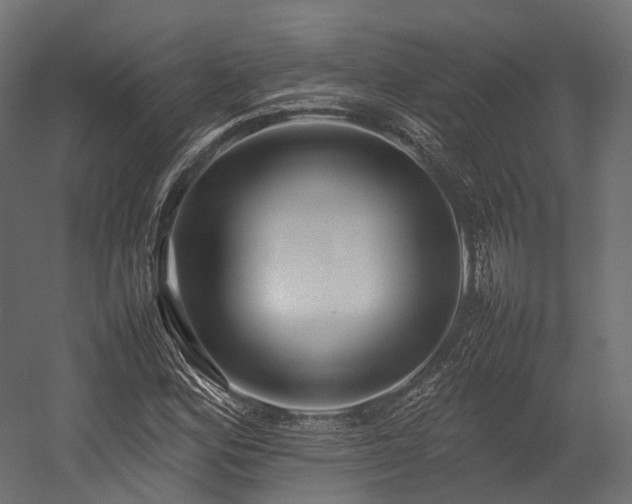 X0000054391164200507291136