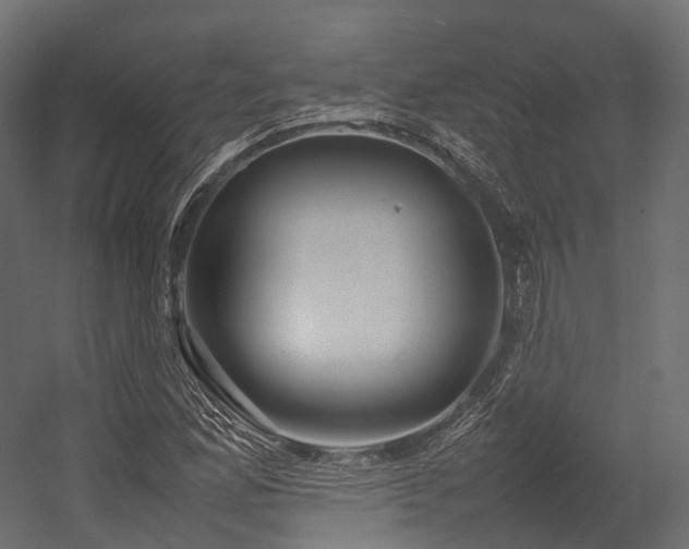 X0000054391165200507291136
