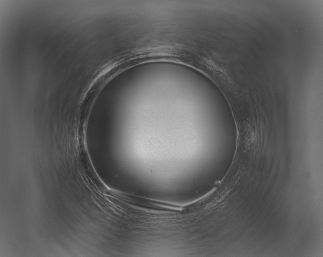 X0000054391166200507291136