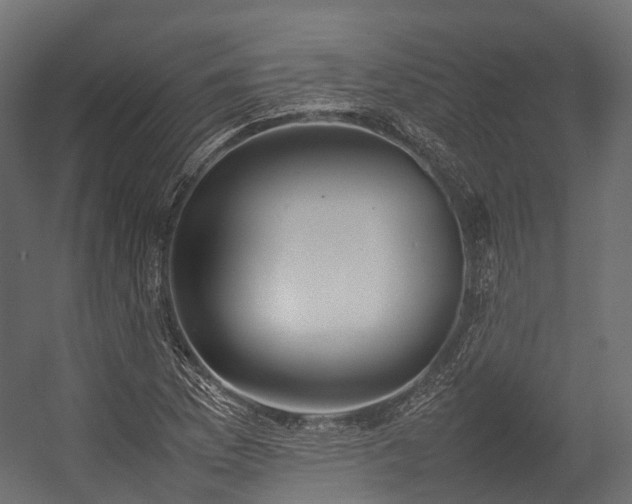 X0000054391169200507291136