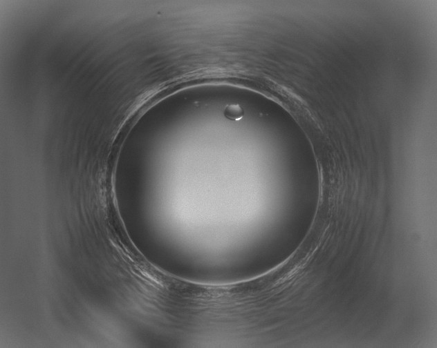 X0000054391170200507291136