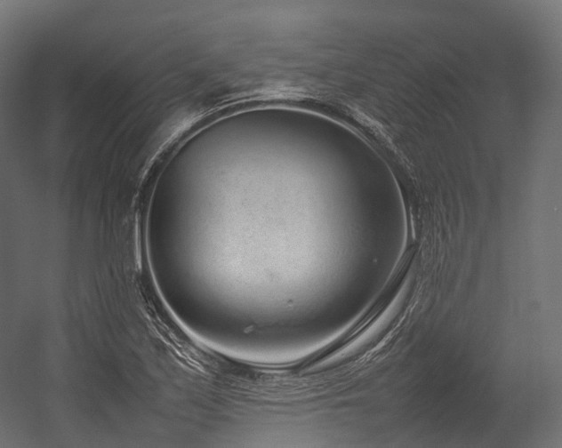 X0000054391171200507291136