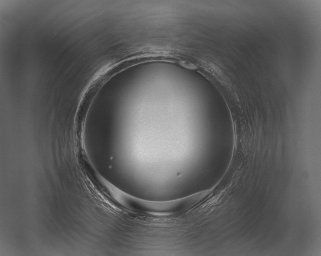 X0000054391172200507291136