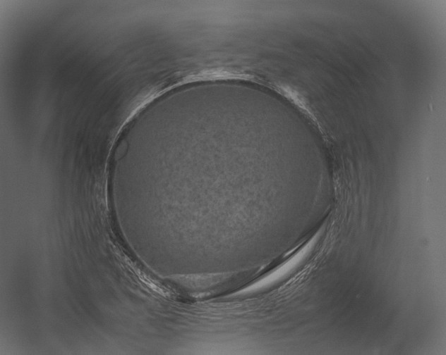 X0000054391173200507291136