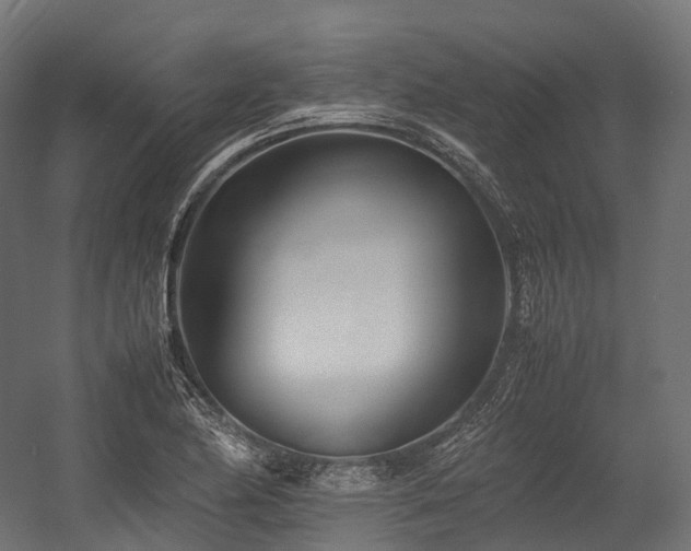 X0000054391174200507291136