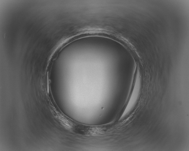 X0000054391175200507291136