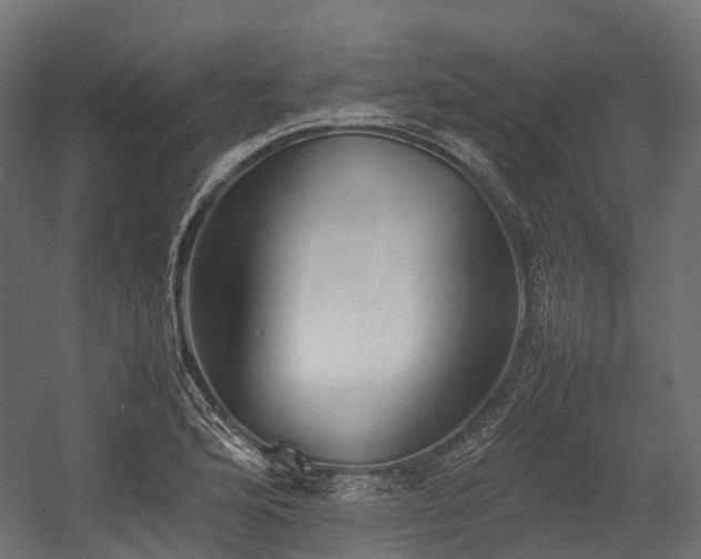 X0000054391176200507291136