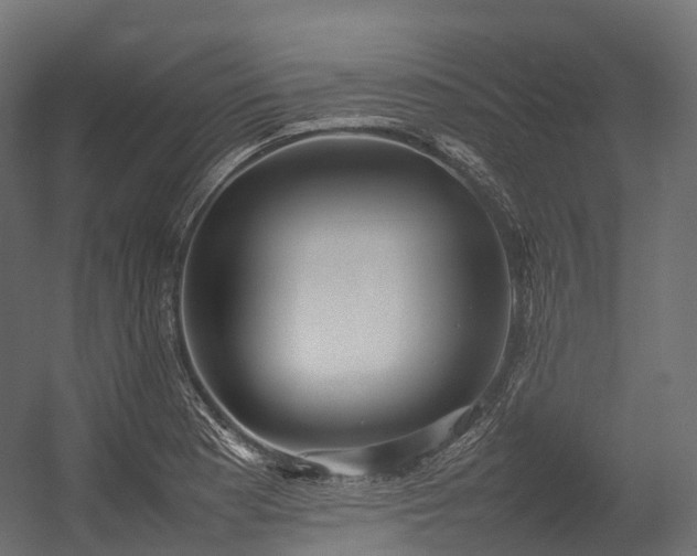 X0000054391177200507291136