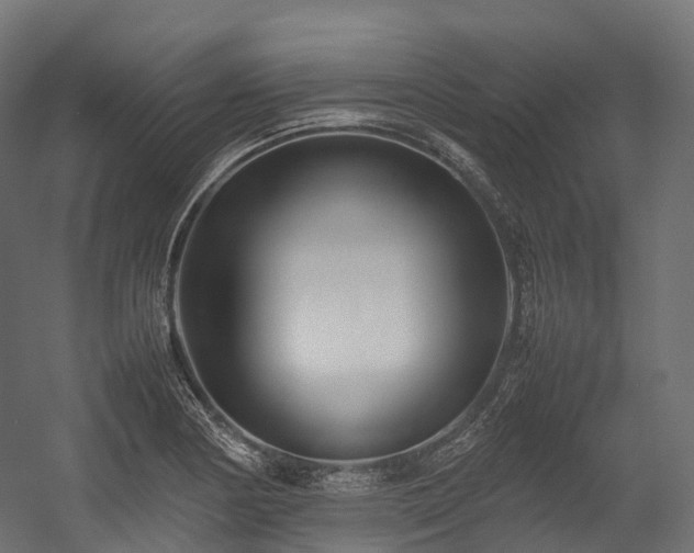 X0000054391178200507291136