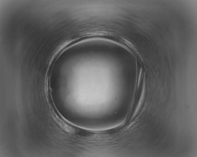 X0000054391179200507291136