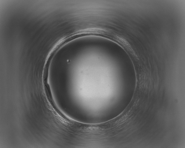 X0000054391180200507291136