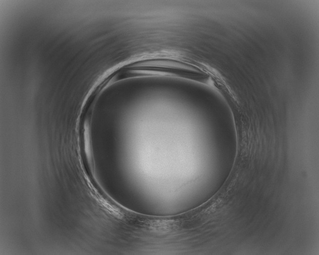 X0000054391184200507291136
