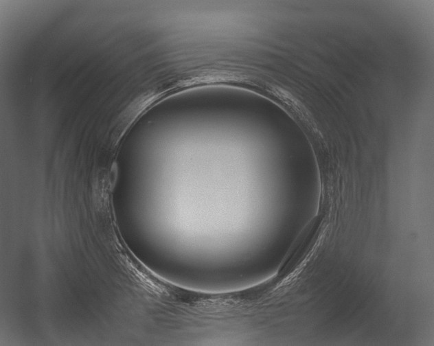 X0000054391185200507291136