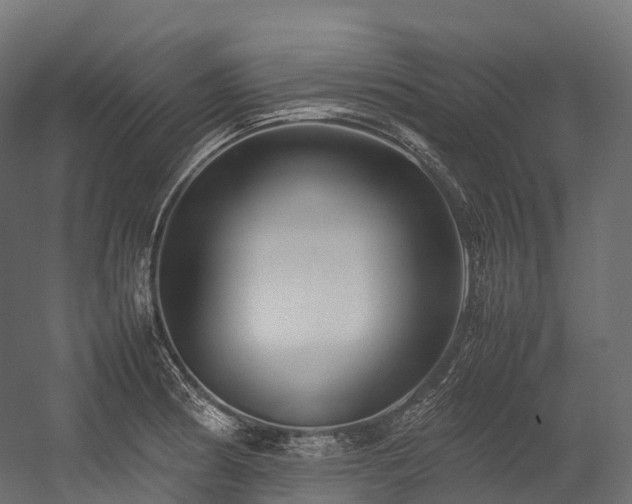 X0000054391186200507291135