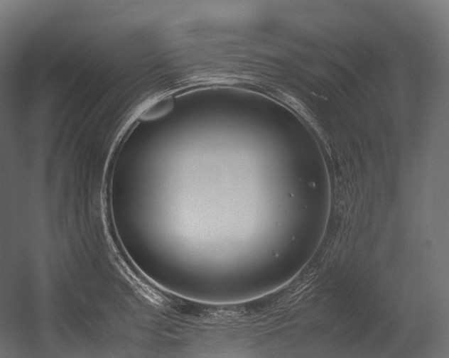 X0000054391187200507291135