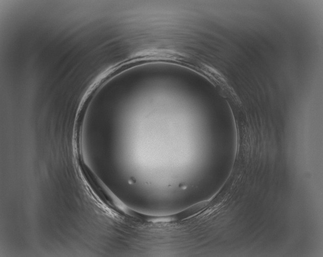 X0000054391188200507291135