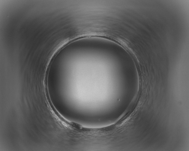 X0000054391189200507291135