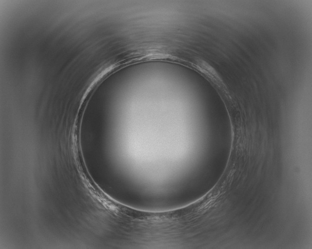 X0000054391190200507291135