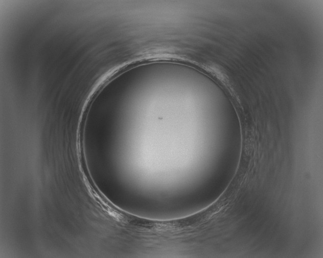X0000054391191200507291135