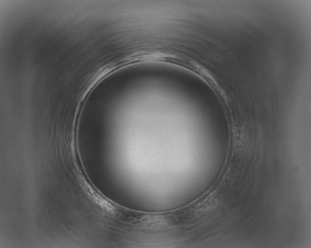 X0000054391194200507291135