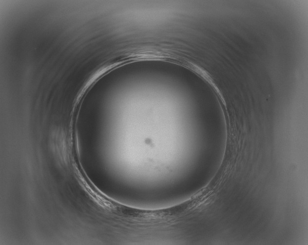 X0000054391195200507291135