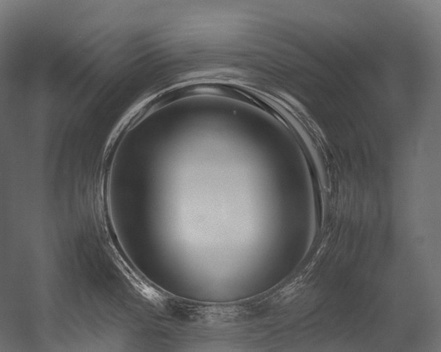 X0000054391196200507291135
