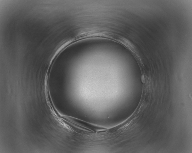 X0000054391198200507291135