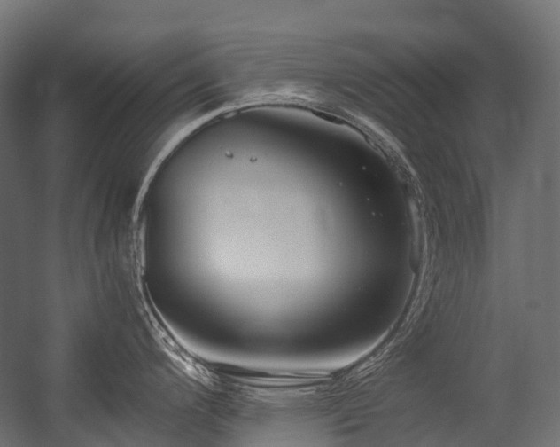 X0000054391200200507291135