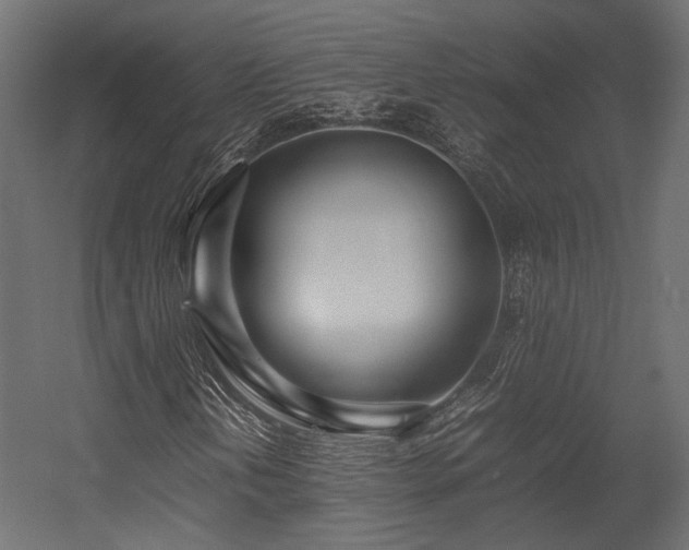 X0000054391202200507291134