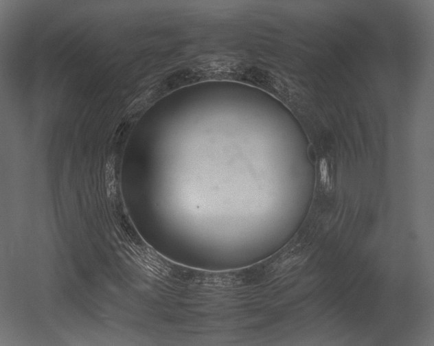 X0000054391203200507291134