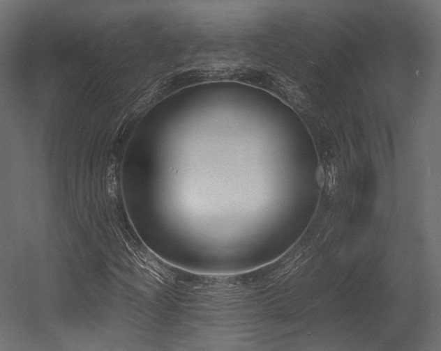 X0000054391204200507291134