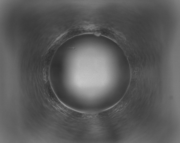 X0000054391205200507291135