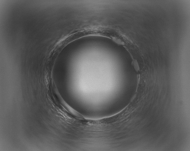 X0000054391206200507291135