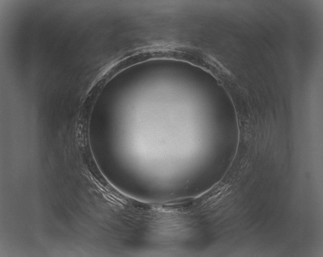 X0000054391208200507291135