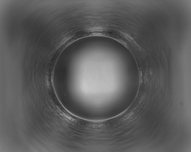 X0000054391209200507291135