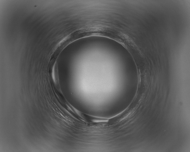 X0000054391210200507291135