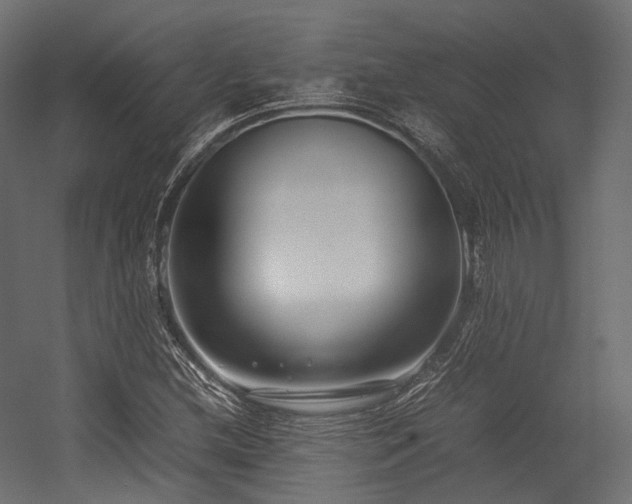 X0000054391212200507291135