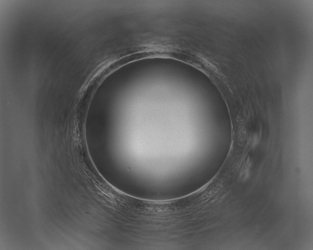 X0000054391215200507291135