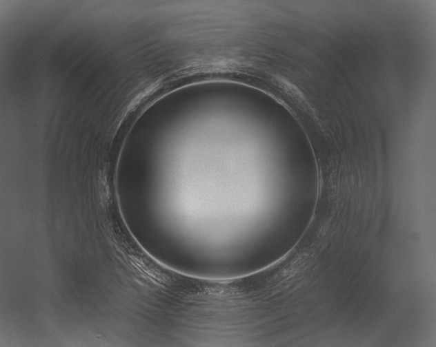 X0000054391218200507291135