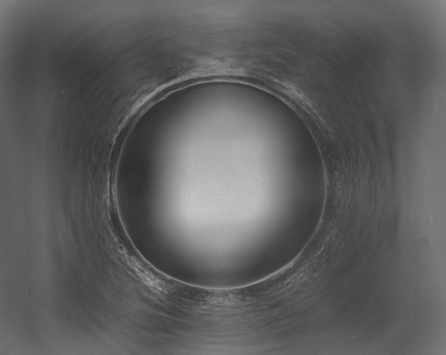 X0000054391220200507291135