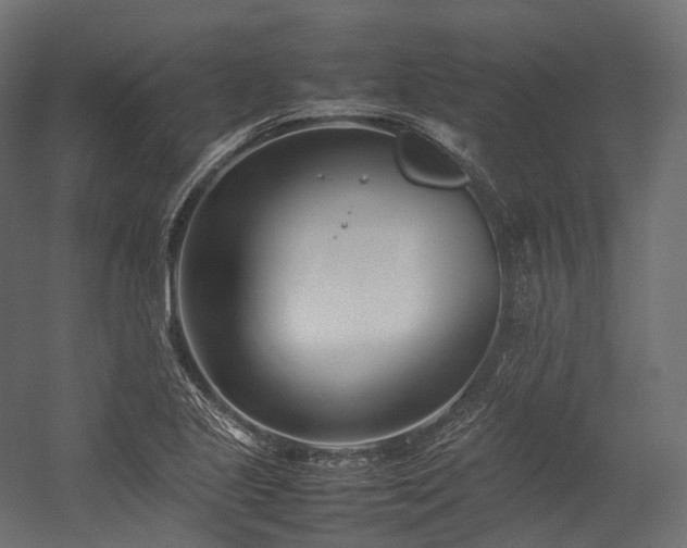 X0000054391221200507291135