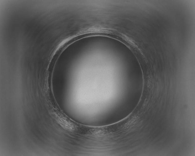 X0000054391222200507291135