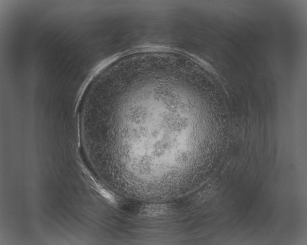 X0000054391223200507291135
