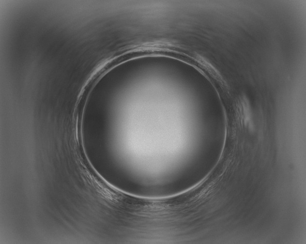 X0000054391224200507291135