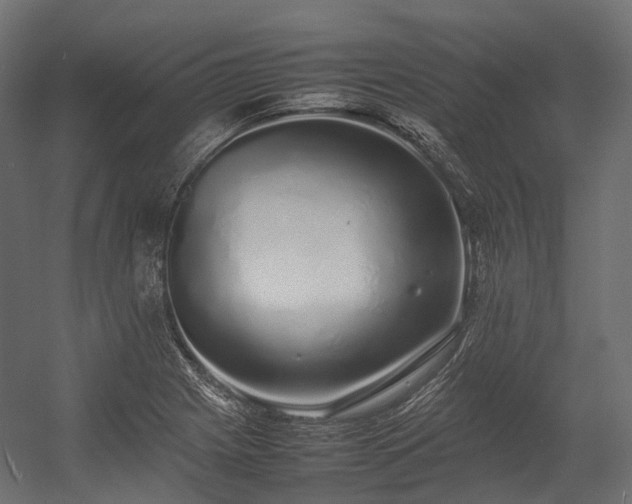 X0000054391225200507291135