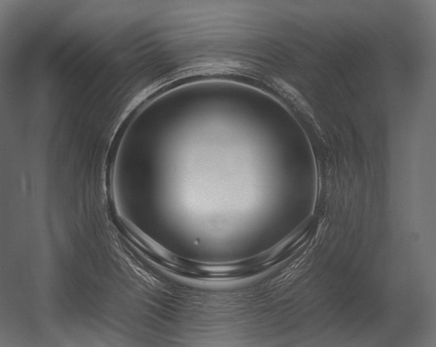 X0000054391226200507291135