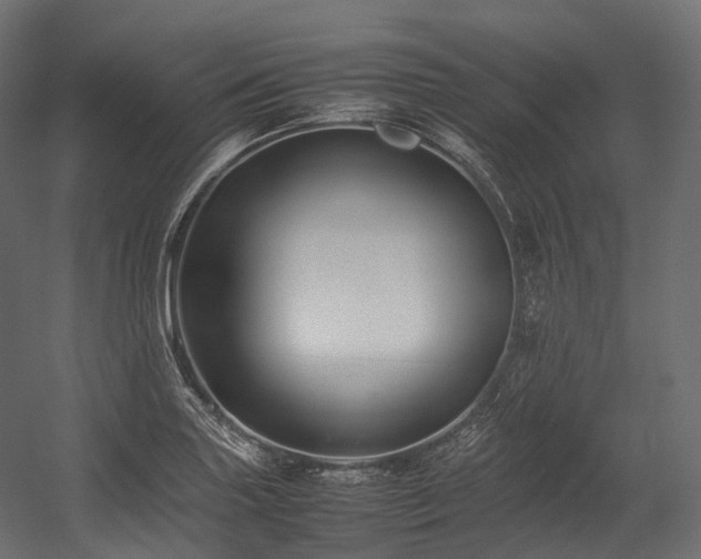 X0000054391227200507291135