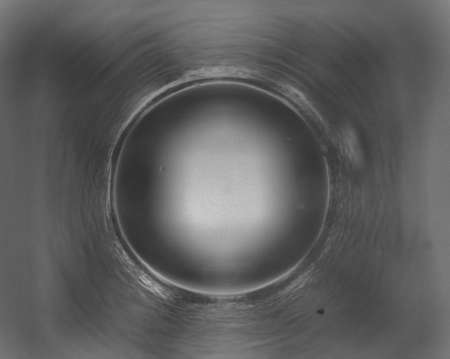 X0000054391228200507291135