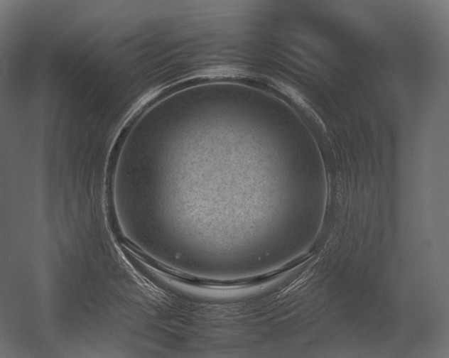 X0000054391229200507291135